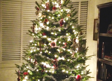 No Time To Decorate For Christmas ...Help Is On The Way